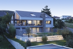 DMFII_0709_6885Comp_web