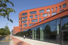 Dirk Matull Fotografie