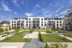 DMF_0417_3455_web