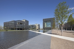 DMFII_0411_0779_web