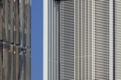 DMFII_0711_9665_web